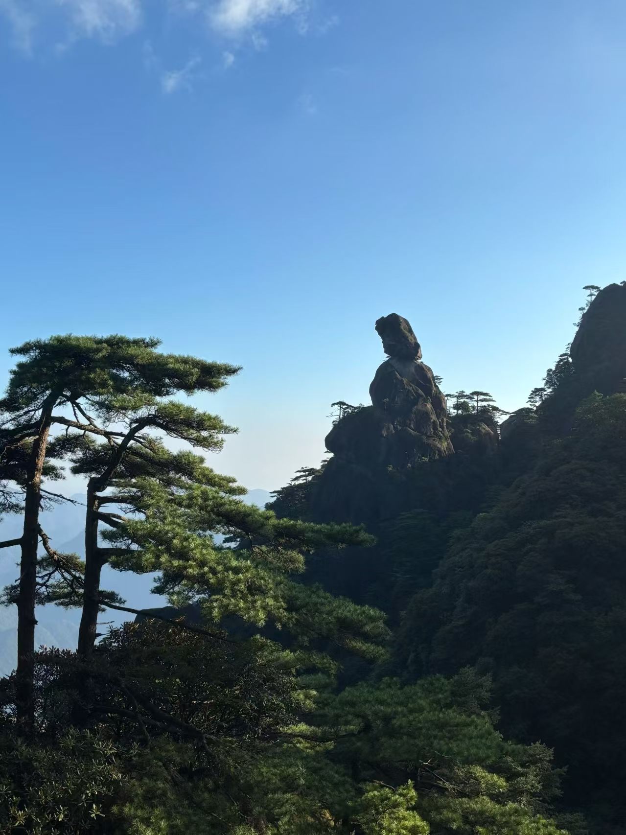 动态配图 9